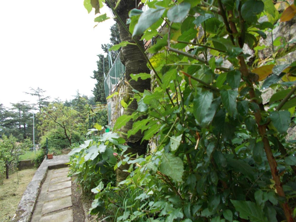 La Vecchia Locanda Castelnuovo di Val di Cecina Ngoại thất bức ảnh
