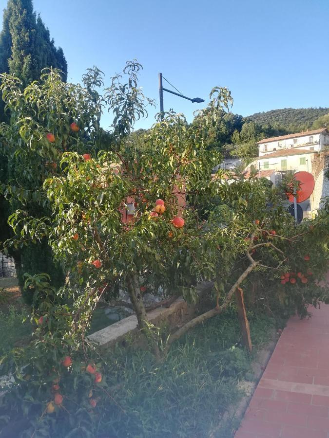 La Vecchia Locanda Castelnuovo di Val di Cecina Ngoại thất bức ảnh